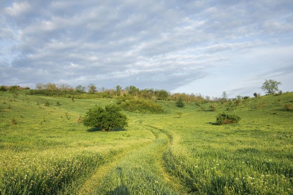 Globe Trotteur Voyages Et Decouvertes